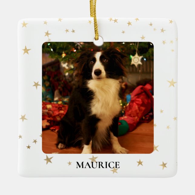 Custom Dog Photo Ceramic Ornament (Front)