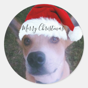 Custom Dog Photo Christmas Classic Round Sticker