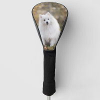 Custom Dog Photo