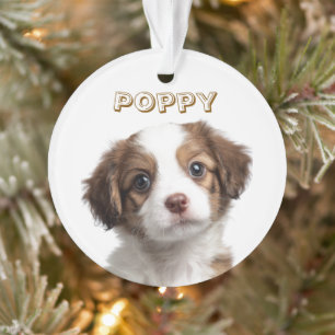 Custom Dog Photo & Name Holiday Ornament