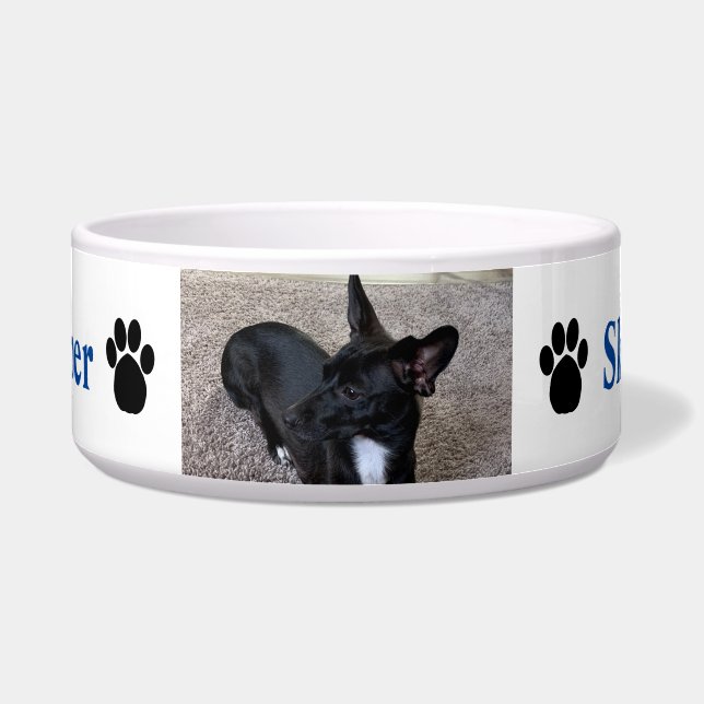 Custom Dog Photo Name Paw Prints Blue (Front)