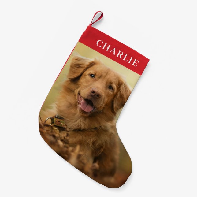 Custom Dog Photo Personalised Pet Small Christmas Stocking (Front (Hanging))