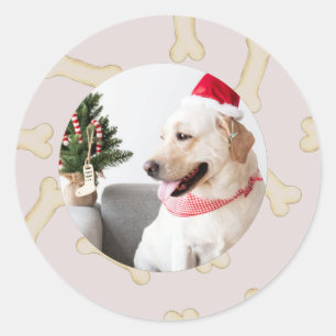 Custom Dog Photo with Bone Frame Stickers