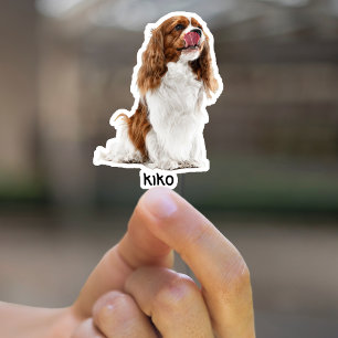 Custom Dog Sticker, Personalized Dog Pet Lover