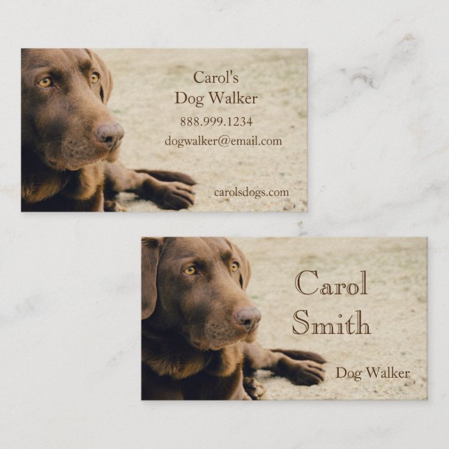 Custom Dog Walker, Pet Sitting Business Service Business Card (Front/Back)