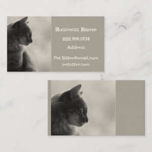Custom Dog Walker, Pet Sitting Business Service Card