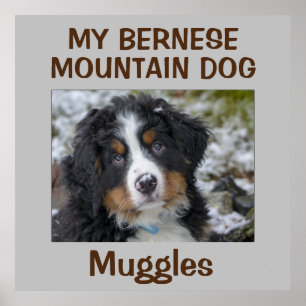 Custom Dog Wall Art