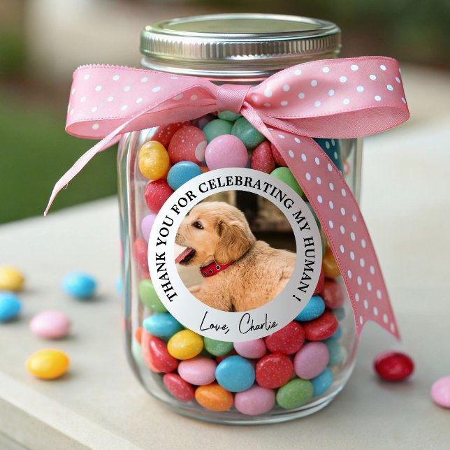 Custom Dog Wedding Favour Dog of Honour Pet Photo Classic Round Sticker (Creator Uploaded)