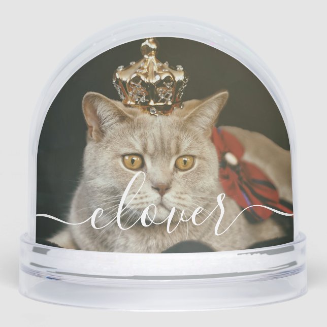Custom Elegant Script Modern 2 Photo Pet Cat Snowglobe (Front)
