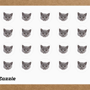 Custom Face Stickers Personalized Cat Face Photo