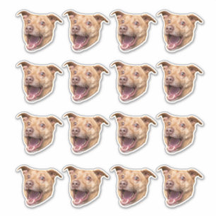 Custom Face Stickers, Photo Stickers, Stickers Dog