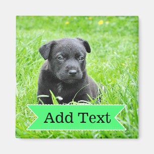 Custom Family Pet  Photo and Name Picture Magnet