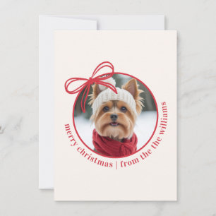 Custom Family Pet Photo Merry Christmas Holiday Card