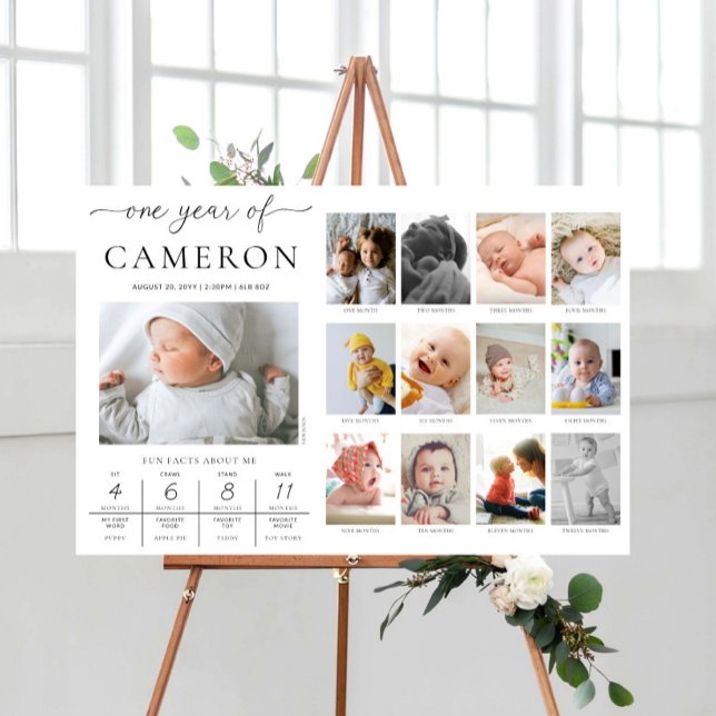 Custom First Birthday Photo Milestone Timeline Poster (First Birthday 12 month milestone Photo Sign)