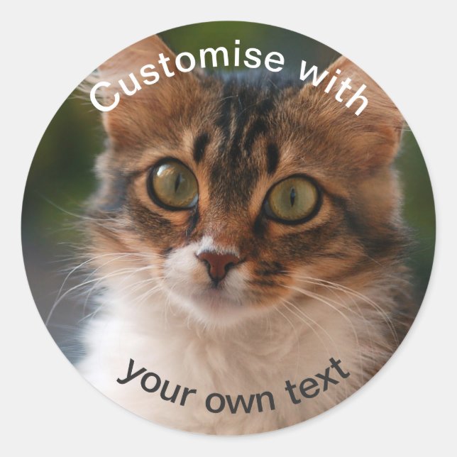 Custom Fluffy Kitten with Green Eyes Classic Round Sticker (Front)