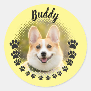 Custom Frame Dog Portrait Name Classic Round Sticker