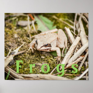 Custom "Frogs" Amphibians Wood Frog Poster