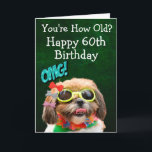 Custom funny 60th birthday from the dog  card<br><div class="desc">Buy this for yourself or as a great gift for your dog loving friends. Your dog has his own unique language. He can express his thoughts and feelings about how much he loves you. Are you ready to hear what your dog is thinking? So be creative - the card can...</div>