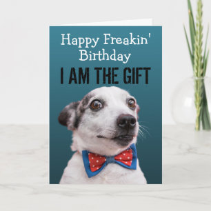 Custom Funny Dog Birthday Card 