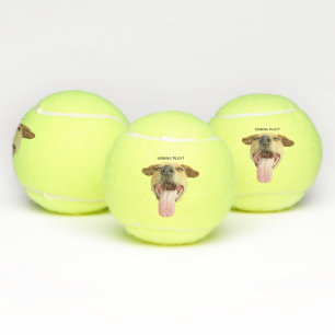 Custom Funny Wanna Play Dog Tennis Balls