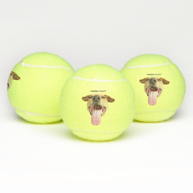 Custom Funny Wanna Play Dog Tennis Balls (Multi)
