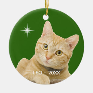Custom Ginger Tabby Cat Photo on Green Ceramic Tree Decoration