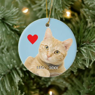 Custom Ginger Tabby Cat Photo on Light Blue Ceramic Tree Decoration