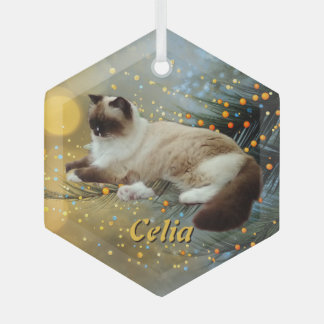Custom Glass Christmas Tree Pet Ornament
