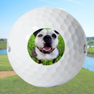 Custom Golf Balls Bulldog Photo Create Your Own