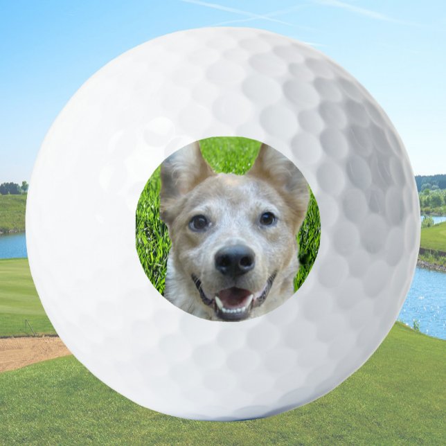 Custom Golf Balls With Dog Picture Create Your Own (Creator Uploaded)