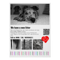 Custom Great Dane Puppy Tear-Off Poster with Photo