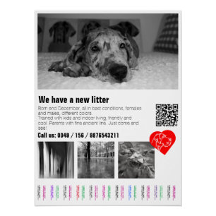 Custom Great Dane Puppy Tear-Off Poster with Photo