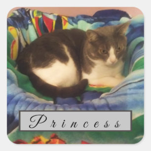 Custom Grey and White Domestic Short Hair Cat Square Sticker