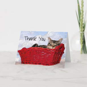 Custom Grey Kitten Sleeping in Red Basket Photo Thank You Card