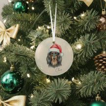 Custom Hand Drawn Dachshund Portrait and Name