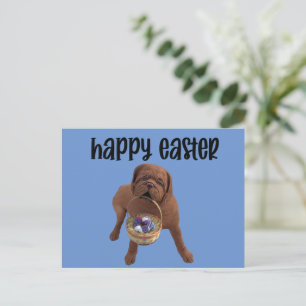 Custom Happy Easter Dog Postcard
