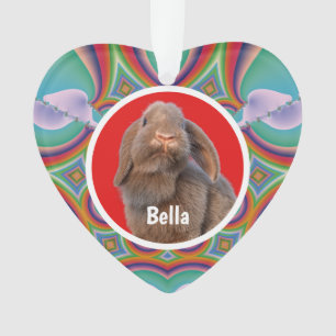Custom Holland Lop Rabbit Photo Name Rainbow Art Ornament