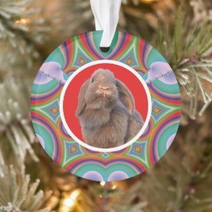 Custom Holland Lop Rabbit Photo Rainbow Art Ornament