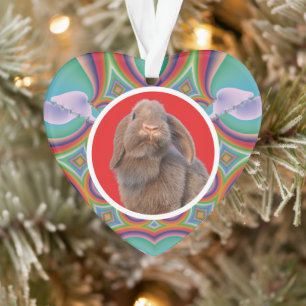 Custom Holland Lop Rabbit Photo Rainbow Art Ornament