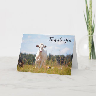 Custom Holstein Cow Thank You Card