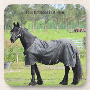 Custom Horse Coasters