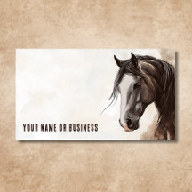 Custom Horse Illustration Professional Contact