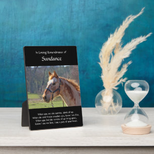 Custom Horse Name and Photo Memorial Plaque