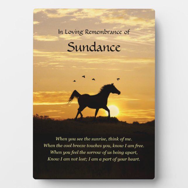 Custom Horse Name Memorial Plaque (Front)