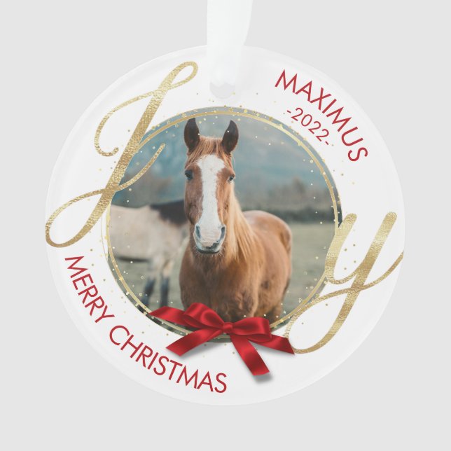 Custom Horse Name Photo Equestrian Ornament (Front)