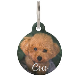 Custom Image Dog QR Code Name Pet Tag