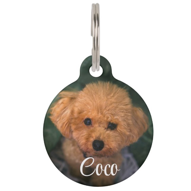 Custom Image Dog QR Code Name Pet Tag (Front)