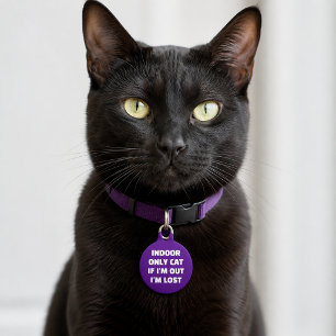 Custom Indoor Cat If Im Out Im Lost ID Pet Tag