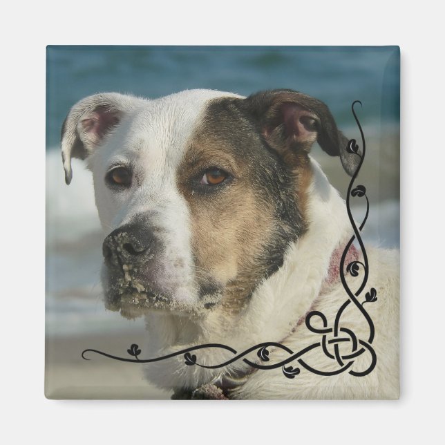 Custom Instagram Photo Create Your Own Magnet (Front)