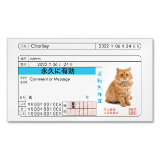 Custom Japanese Driver's License Card!! Magnetic Business Card